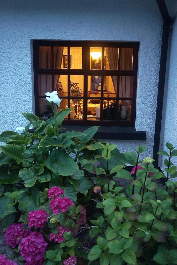 Ivy Cottage B&B Killarney Exterior photo